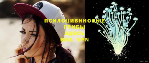 соль ск Алзамай