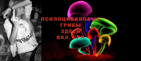 соль ск Алзамай