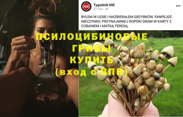соль ск Алзамай