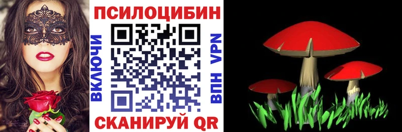 Галлюциногенные грибы Cubensis  купить наркотик  Каргополь 